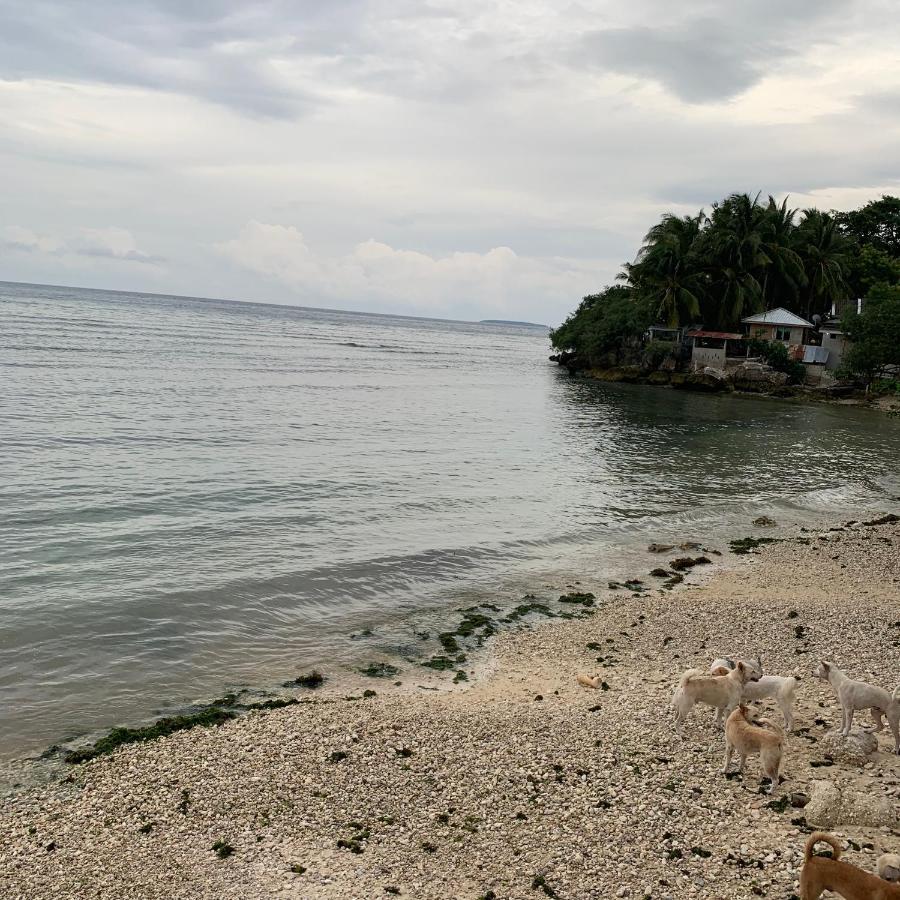 Luna Oslob Travellers Inn - Beach Front Buitenkant foto